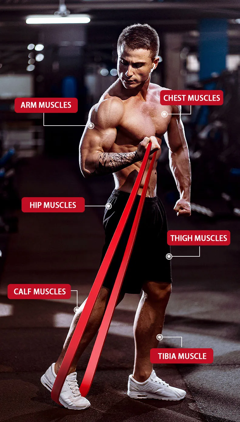 Fitnessbänder für Krafttraining 